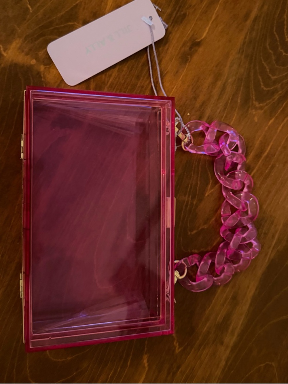 Jill & Ally Clear Pink Acrylic Purse with Chunky Chain Handle